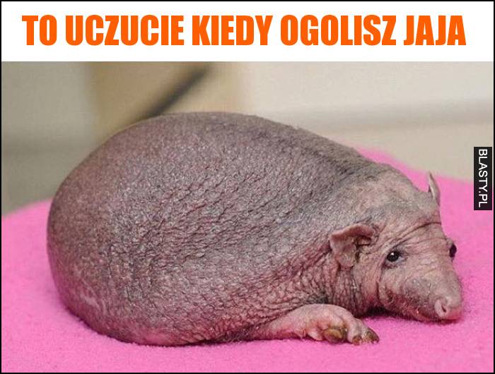 To uczucie kiedy ogolisz jaja