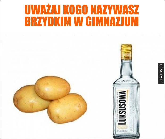 Uważaj kogo nazywasz brzydkim w gimnazjum