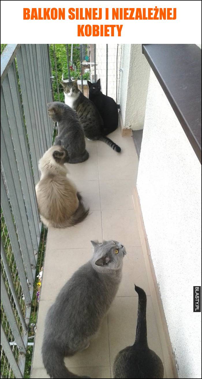 Balkon silnej i niezależnej kobiety