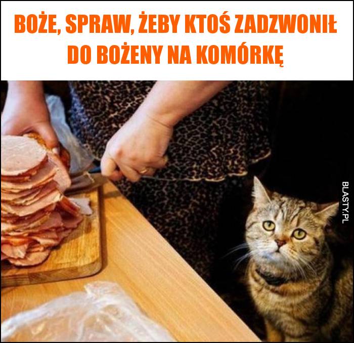 Boże, spraw, żeby ktoś zadzwonił do Bożeny na komórkę