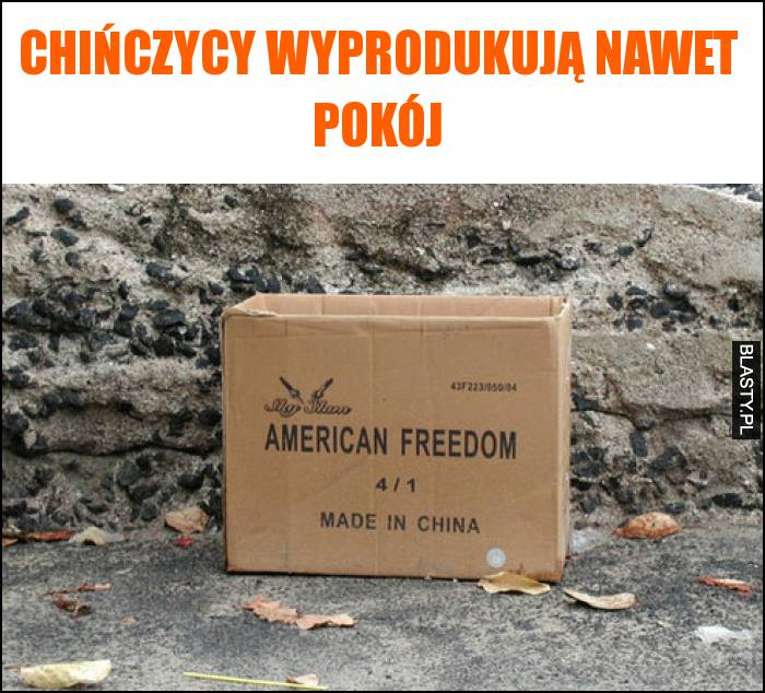 Chińczycy wyprodukują nawet pokój