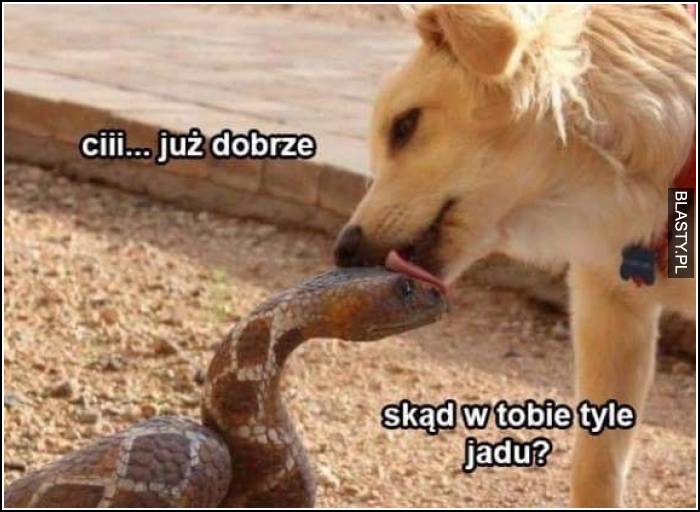 ciii już dobrze