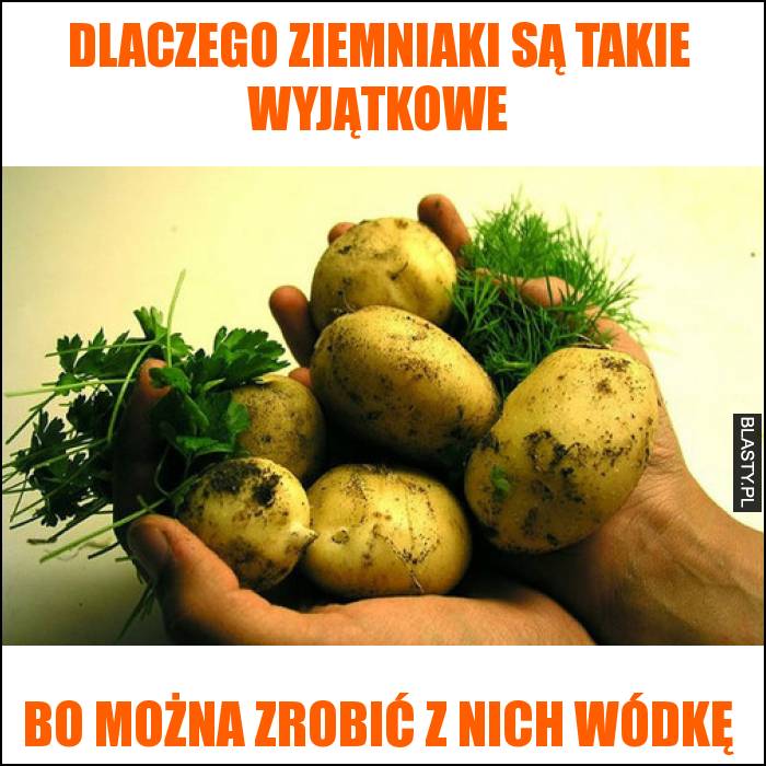 Dlaczego ziemniaki są takie wyjątkowe