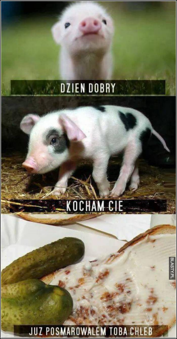 Dzień dobry kocham Cię już posmarowałem tobą chleb