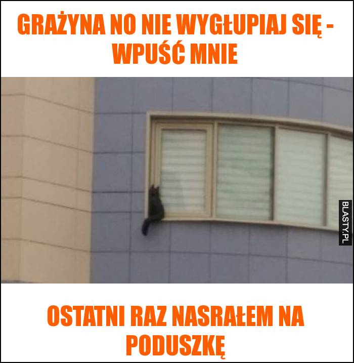 Grażyna no nie wygłupiaj się - wpuść mnie