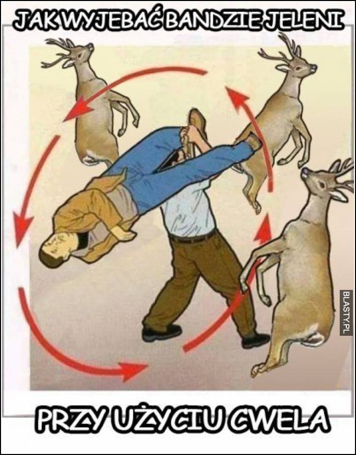 Jak wyjebać bandzie jeleni przy użyciu cwela