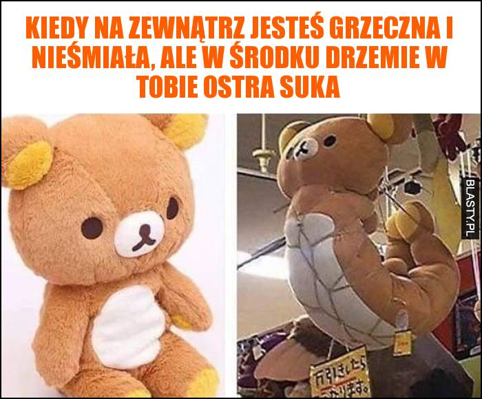 Kiedy na zewnątrz jesteś grzeczna i nieśmiała, ale w środku drzemie w Tobie ostra suka