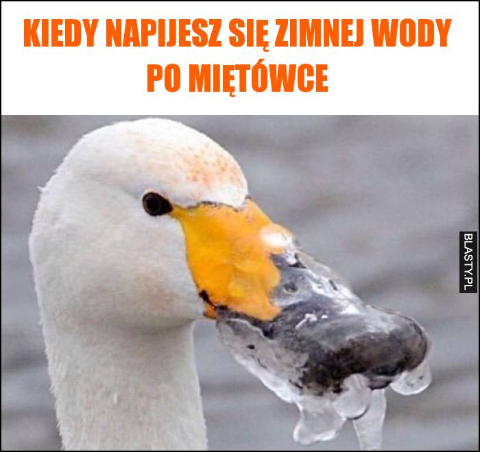 Kiedy napijesz się zimnej wody po miętówce