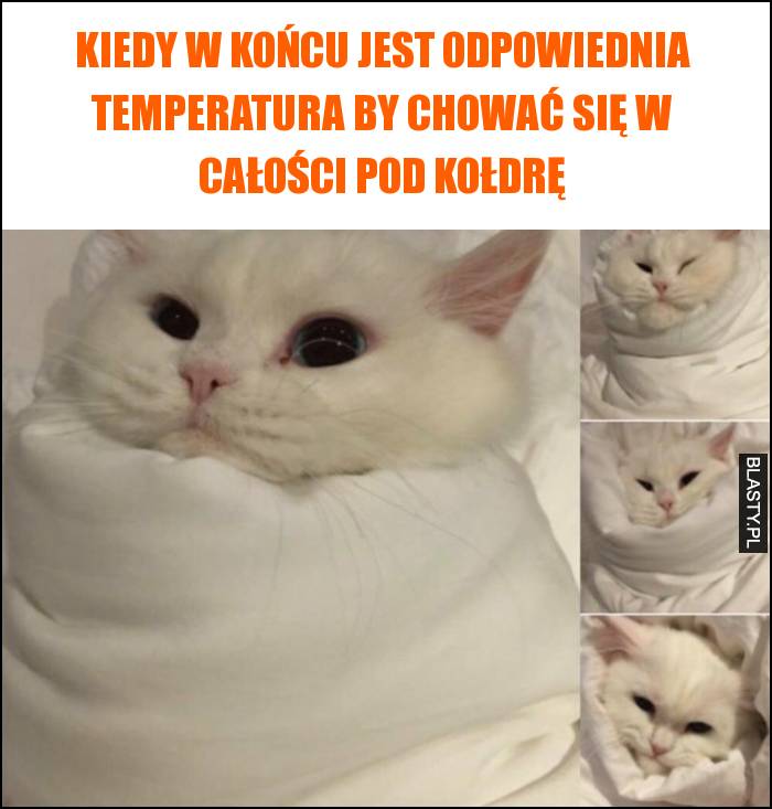 Kiedy w końcu jest odpowiednia temperatura by chować się w całości pod kołdrę