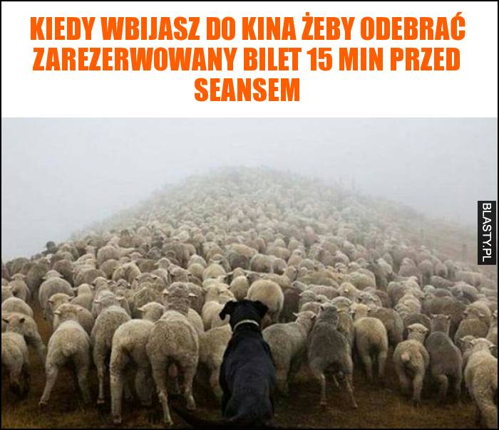 Kiedy wbijasz do kina żeby odebrać zarezerwowany bilet 15 min przed seansem