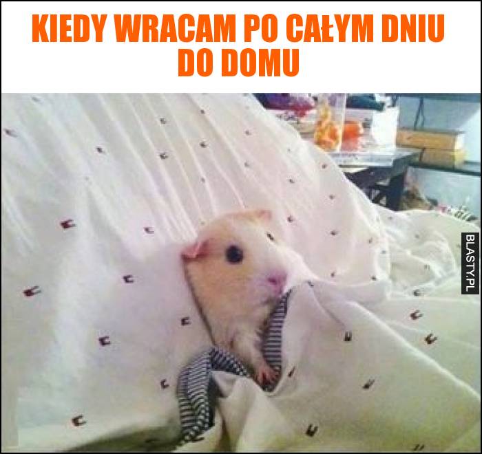 Kiedy wracam po całym dniu do domu