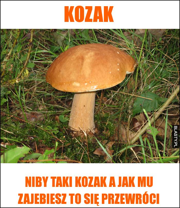 Kozak - niby taki kozak a jak mu zajebiesz to się przewróci