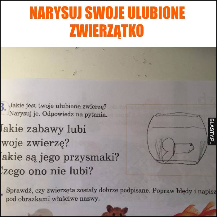 Narysuj swoje ulubione zwierzątko