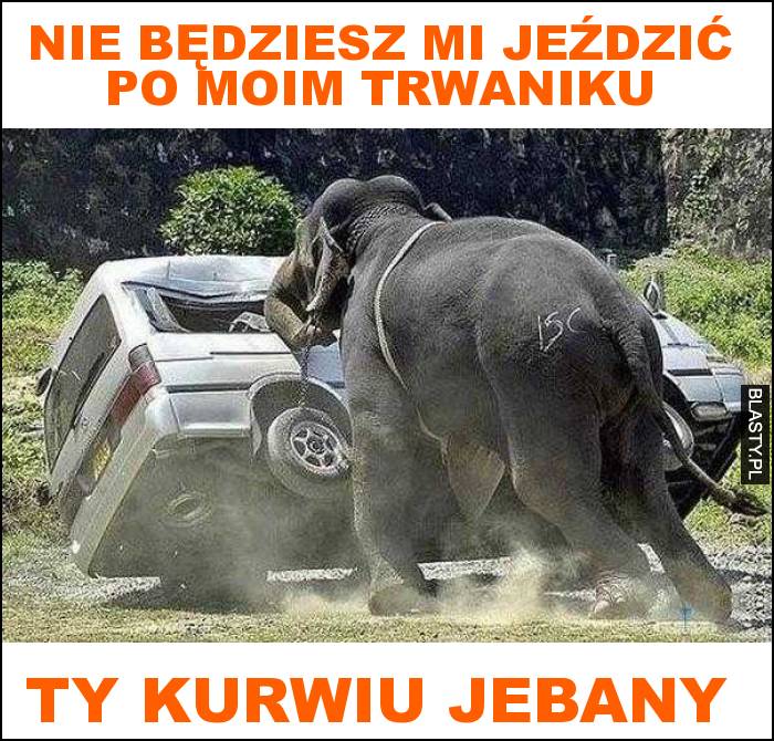 Nie będziesz mi jeździć po moim trwaniku ty kurwiu jebany