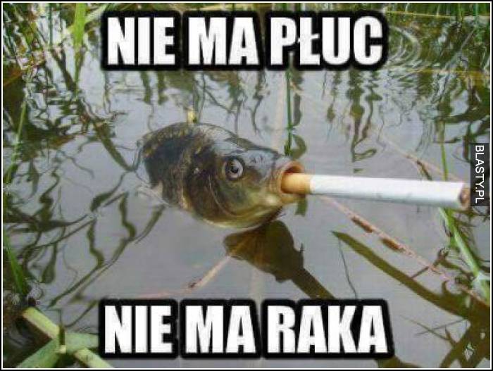 Nie mam płuc nie mam raka