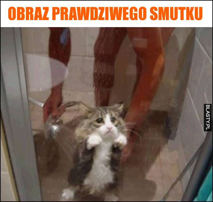 Obraz prawdziwego smutku