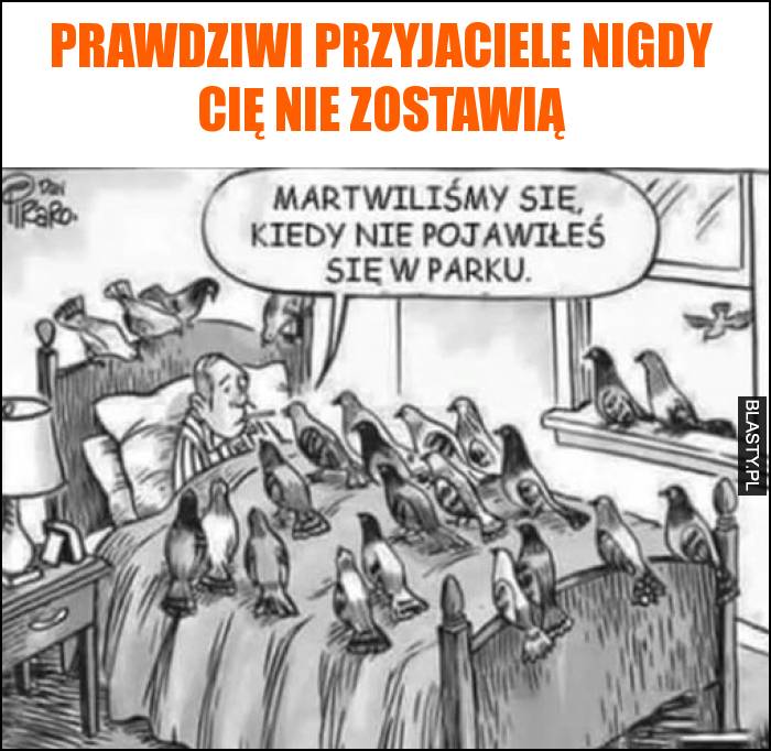 Prawdziwi przyjaciele nigdy cię nie zostawią