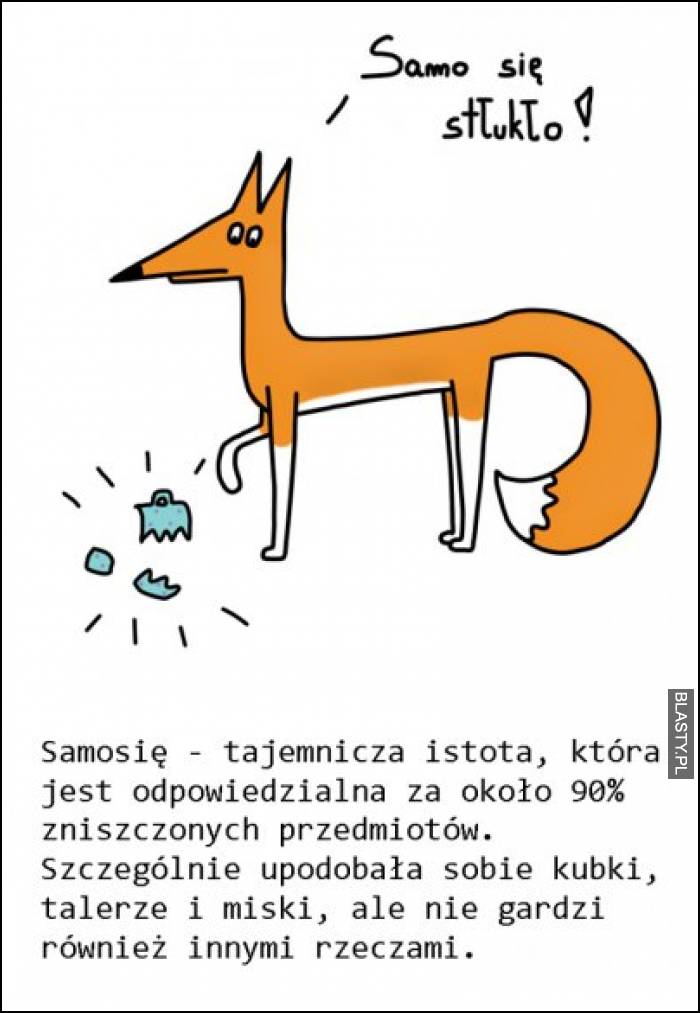 Samo się stłukło