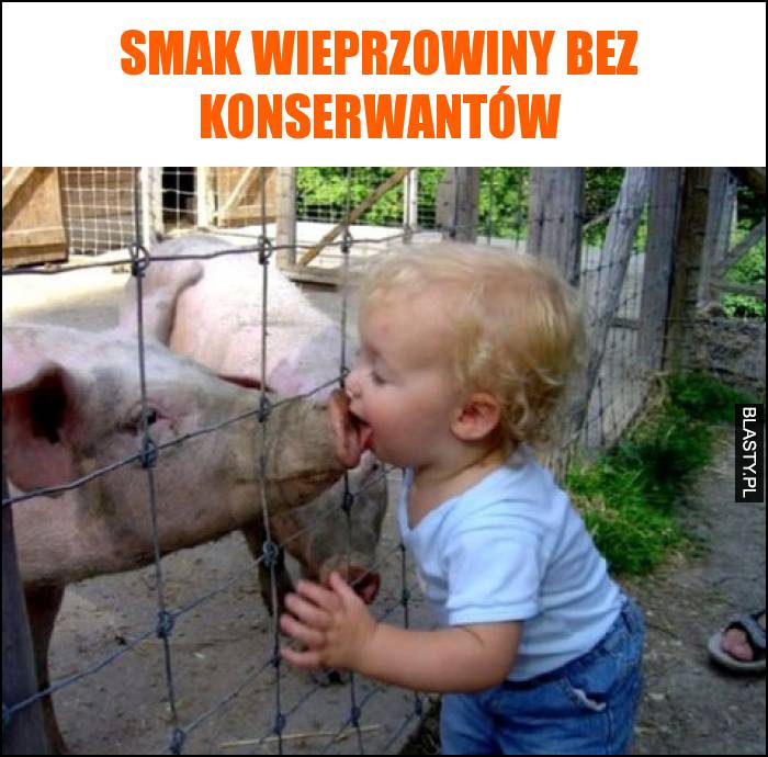 Smak wieprzowiny bez konserwantów