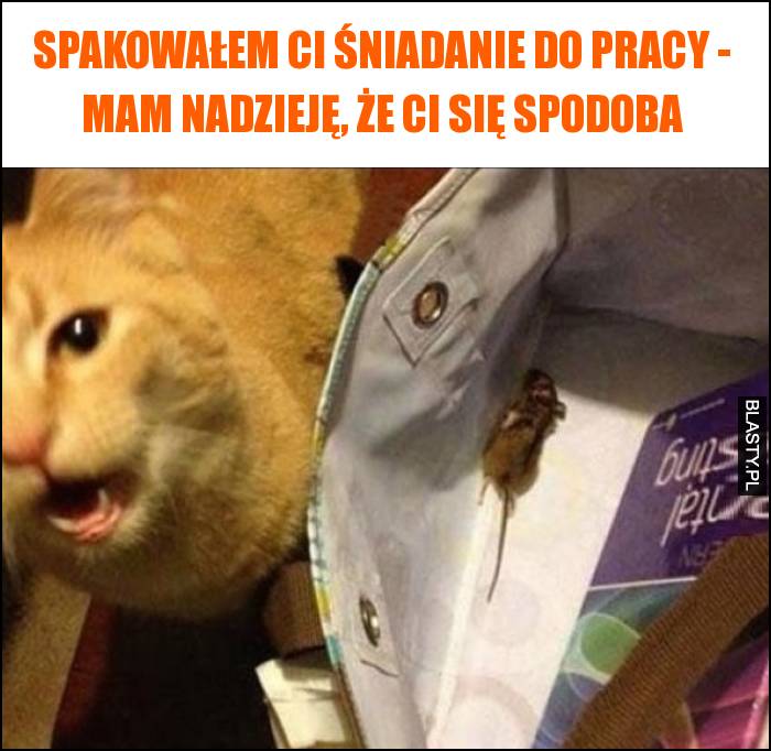 Spakowałem Ci śniadanie do pracy - mam nadzieję, że Ci się spodoba