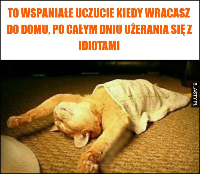 To wspaniałe uczucie kiedy wracasz do domu, po całym dniu użerania się z idiotami