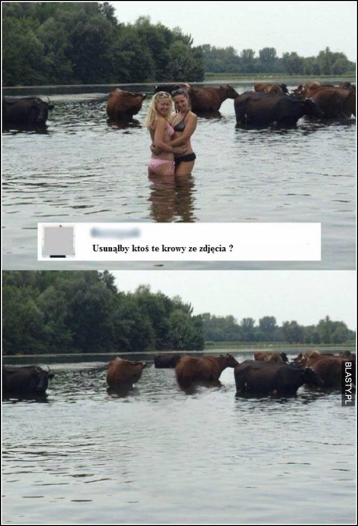 Usunąłby ktoś te krowy ze zdjęcia ?