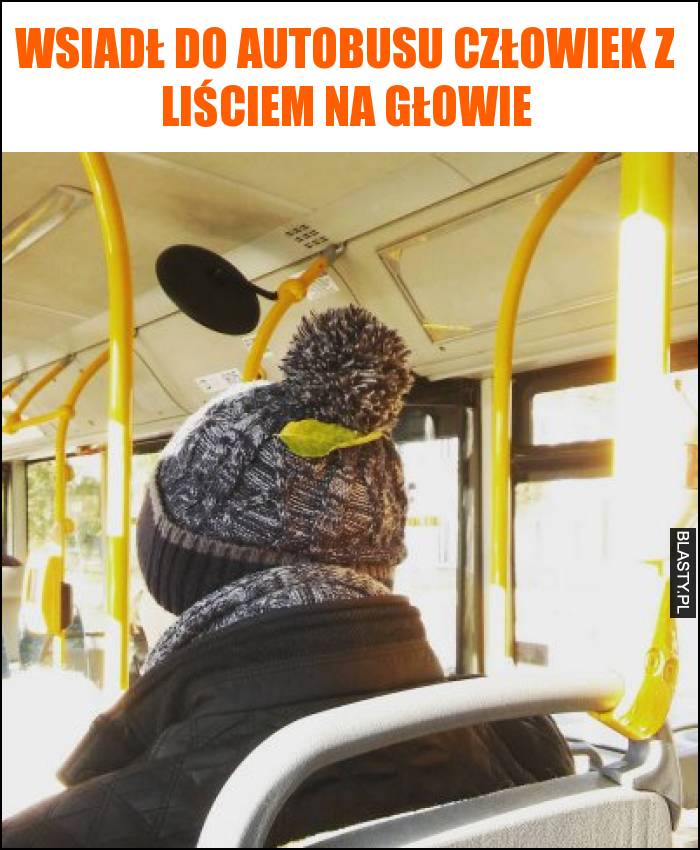 Wsiadł do autobusu człowiek z liściem na głowie