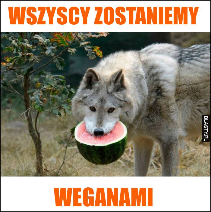 Wszyscy zostaniemy weganami