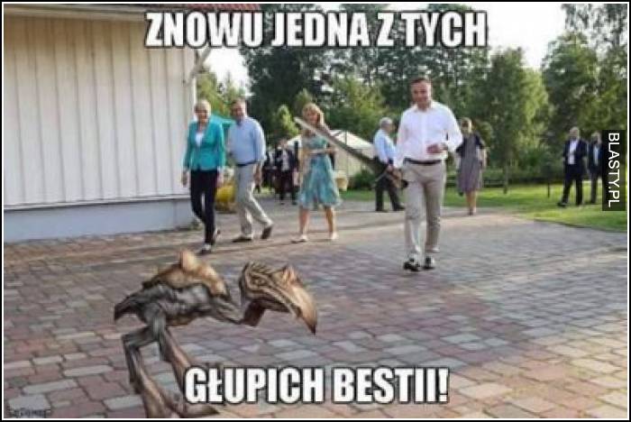 Znowu jedna z tych głupich bestii