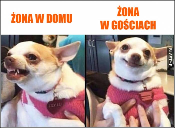 Żony takie są