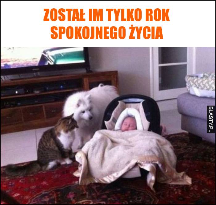 Został im tylko rok spokojnego życia