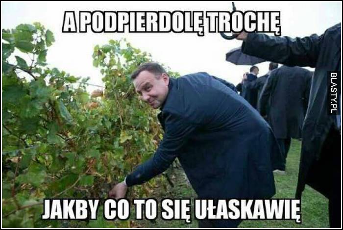 A podpierdolę trochę jakby co to się ułaskawię