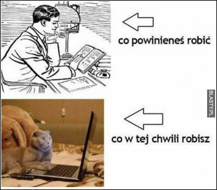 Co powinieneś robić - co w tej chwili robisz