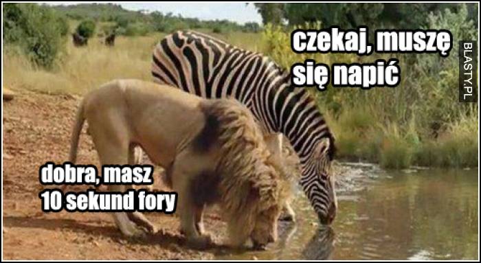 czekaj, muszę się napić