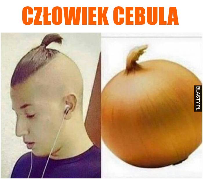 człowiek cebula