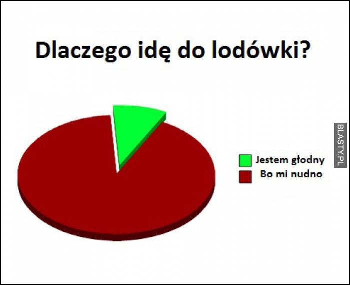 dlaczego idę do lodówki