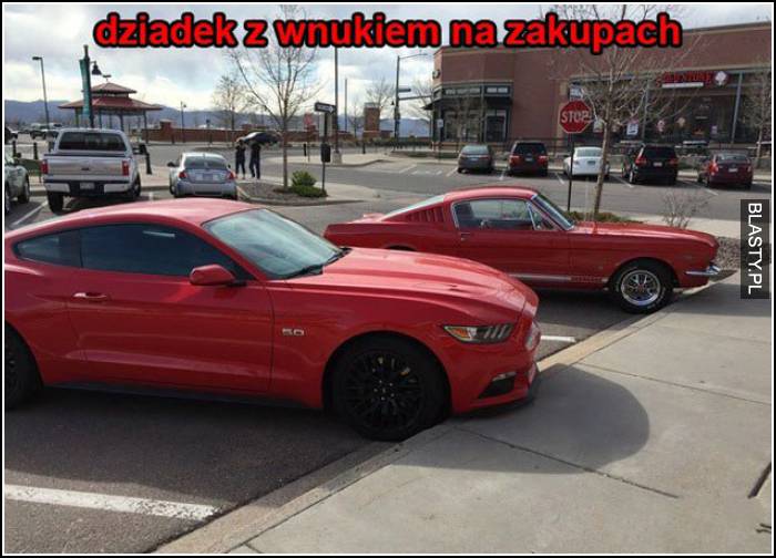 dziadek z wnukiem na zakupach