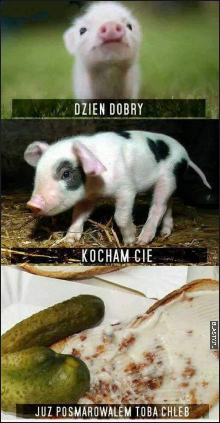 Dzień dobry kocham cię