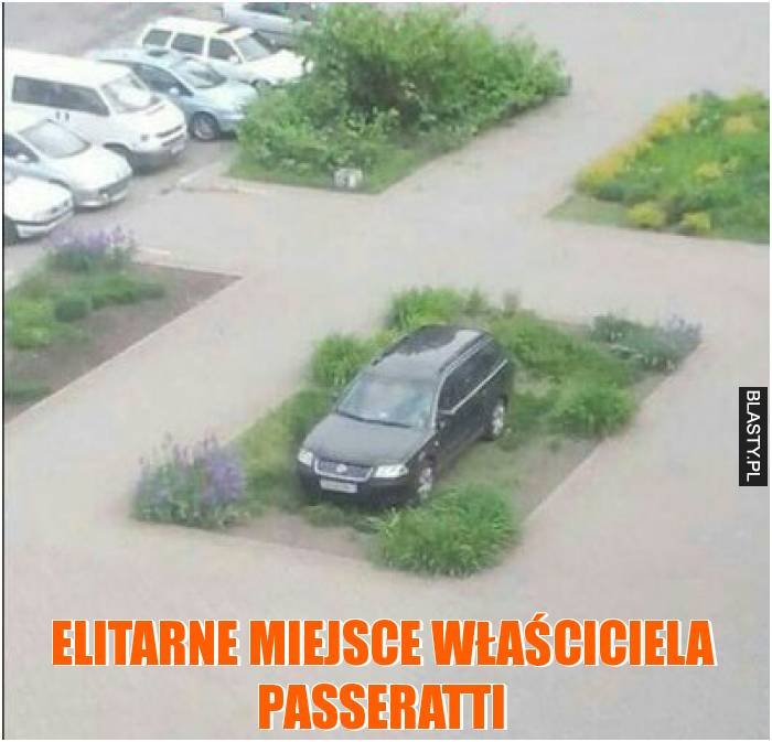 Elitarne miejsce właściciela passeratti