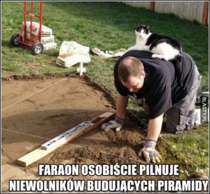 faraon osobiście nadzouje budowy piramidy