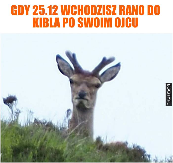 Gdy 25.12 wchodzisz rano do kibla po swoim ojcu