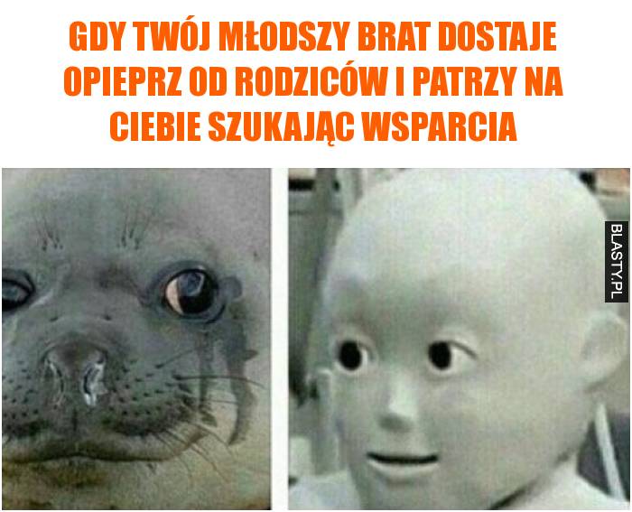 Gdy Twój młodszy brat dostaje opieprz od rodziców i patrzy na Ciebie szukając wsparcia Gdy Twój młodszy brat dostaje opieprz od rodziców i patrzy na Ciebie szukając wsparcia