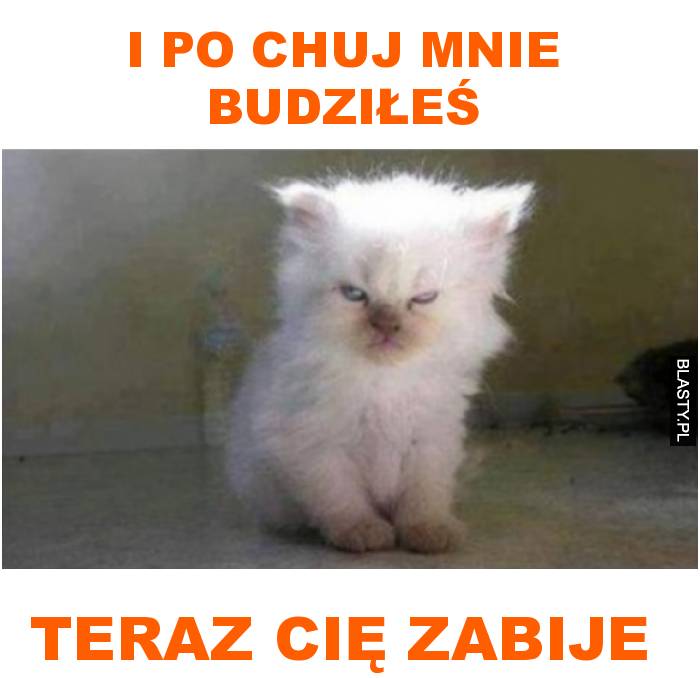 i po chuj mnie budziłeś