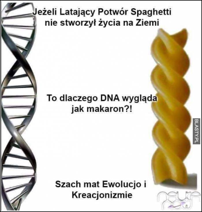 Jeżeli Latający potwór spaghetti nie stworzył życia na ziemi