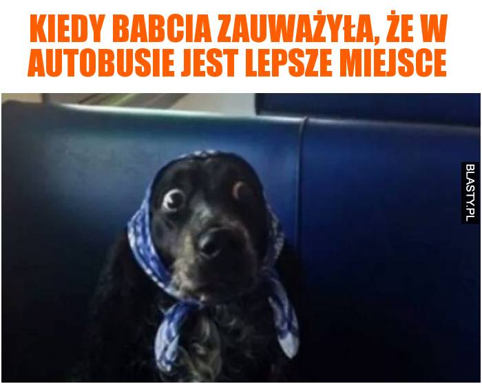 Kiedy babcia zauważyła, że w autobusie jest lepsze miejsce