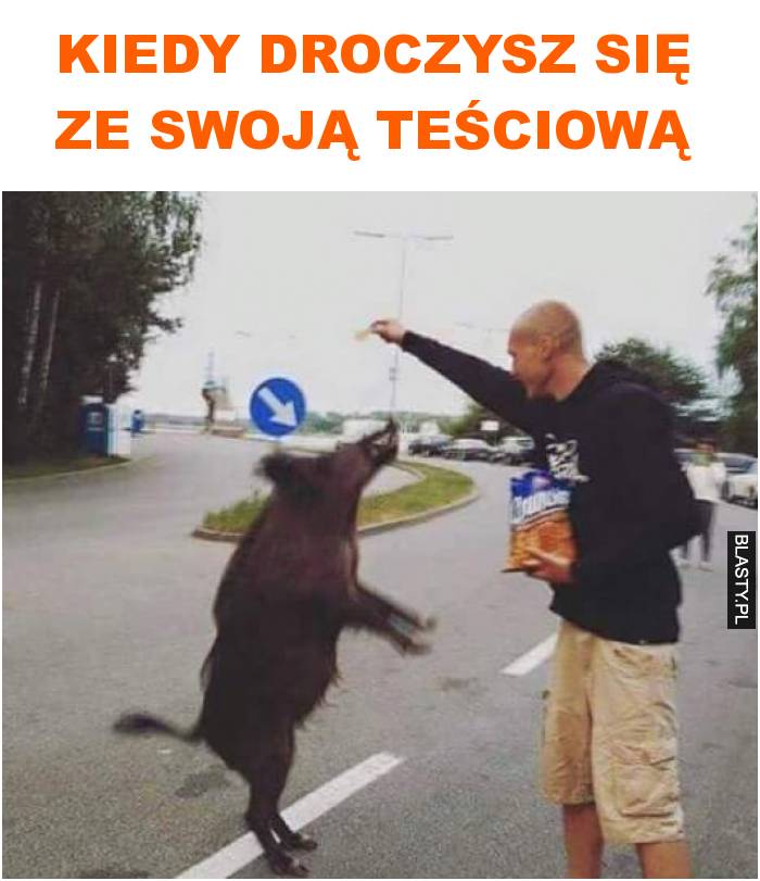 Kiedy droczysz się ze swoją teściową