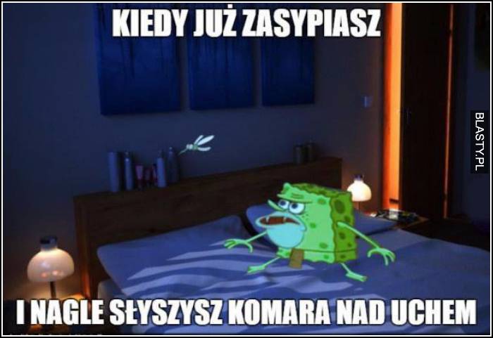 Kiedy już zasypiasz i nagle słyszysz komara nad uchem