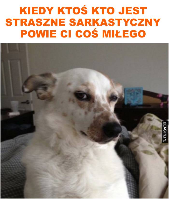 Kiedy ktoś kto jest straszne sarkastyczny powie ci coś miłego