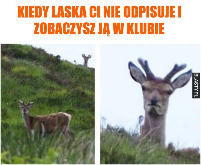 Kiedy laska Ci nie odpisuje i zobaczysz ją w klubie