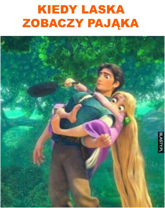 Kiedy laska zobaczy pająka